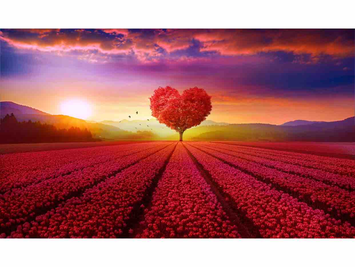 ❤️ Cô Hàng Xóm ❤️