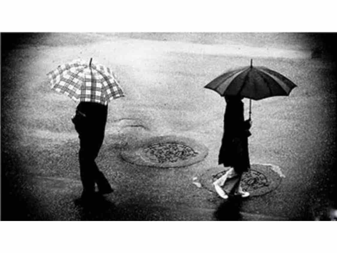 con đường mang tên em