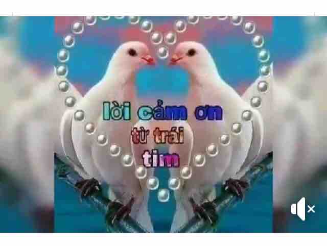 LN& CĐ