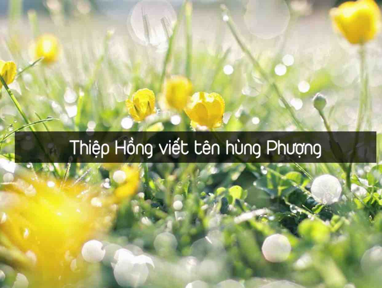 Thiệp Hồng Viết Tên Hùng Phượng❣️