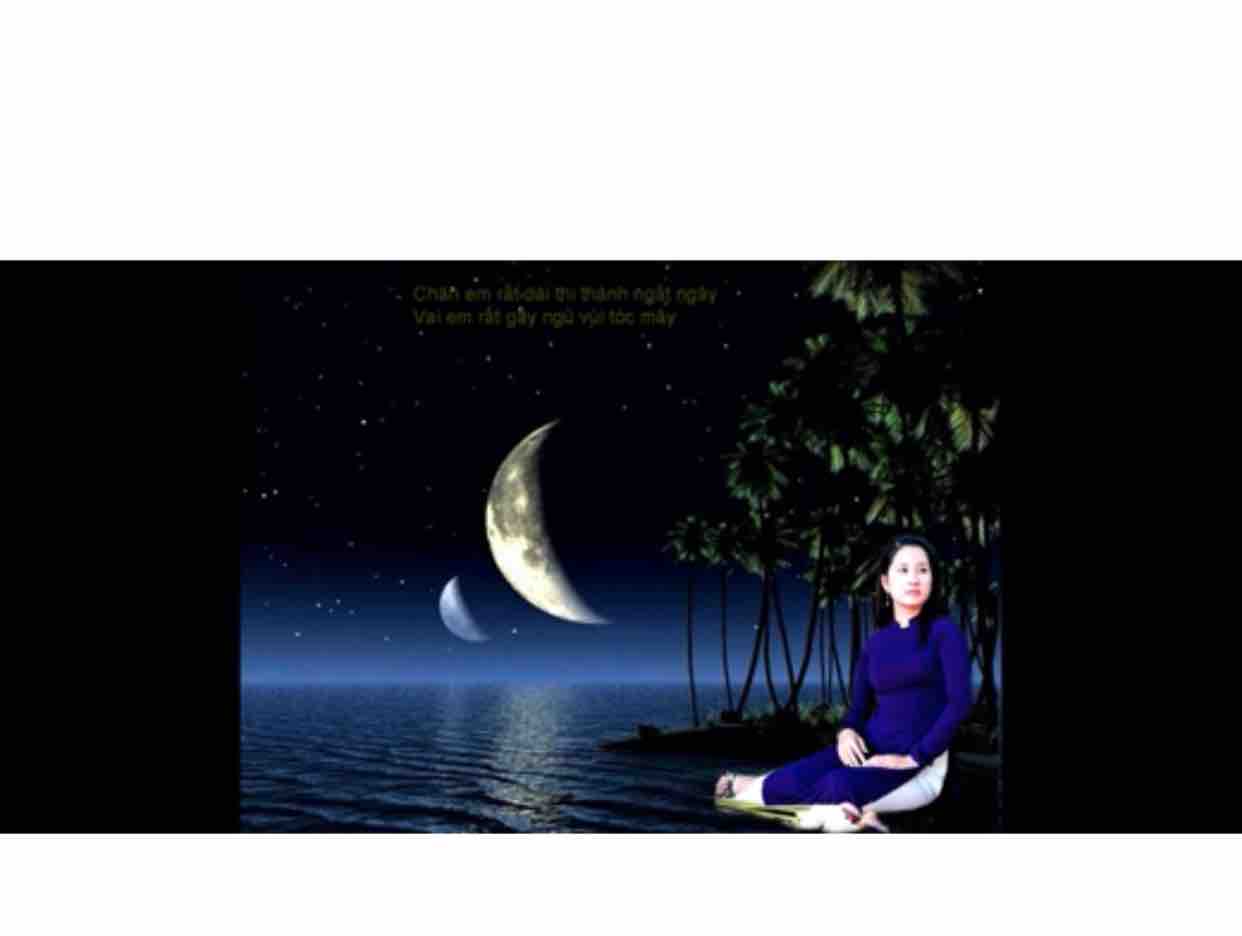 Bài Tình Cho Giai Nhân-☮️