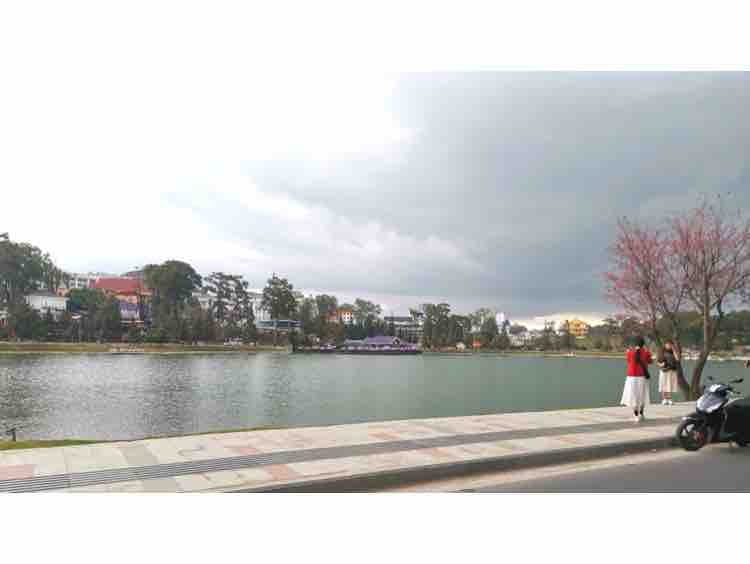 chỉ có bạn bè thoii