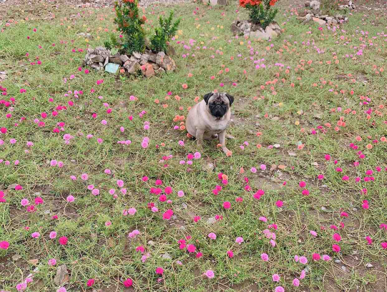Thành phố sau lưng❣️ptrinh ft N tiến ❣️