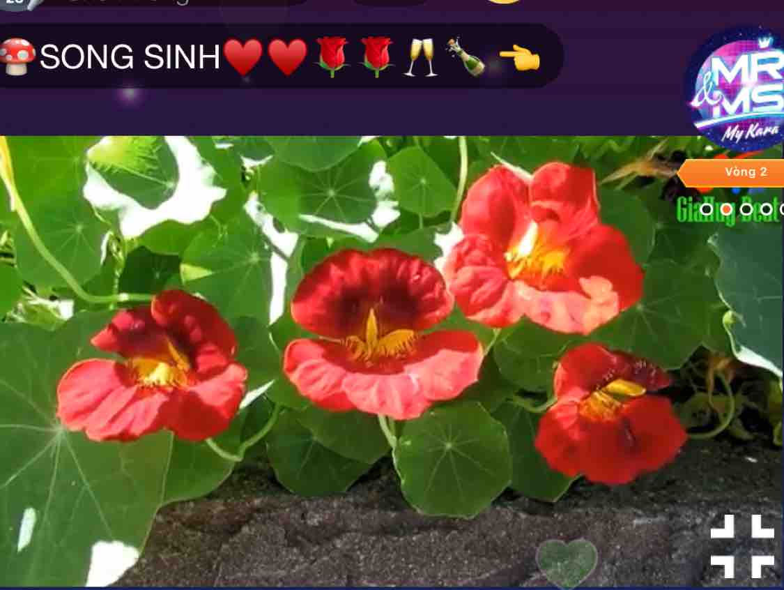 KARAOKE Nếu Anh Đừng Hẹn   Thiên Quang ft Quỳnh Trang