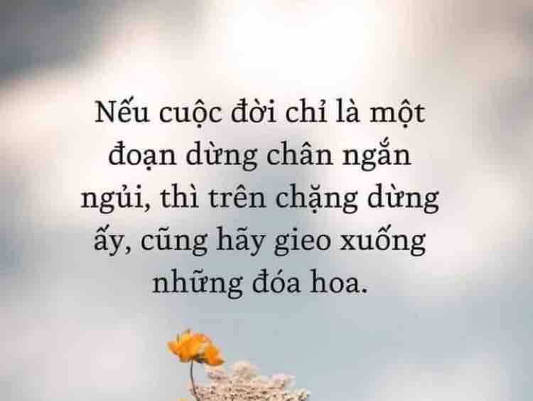 Chọn Mặt Gửi Vàng 