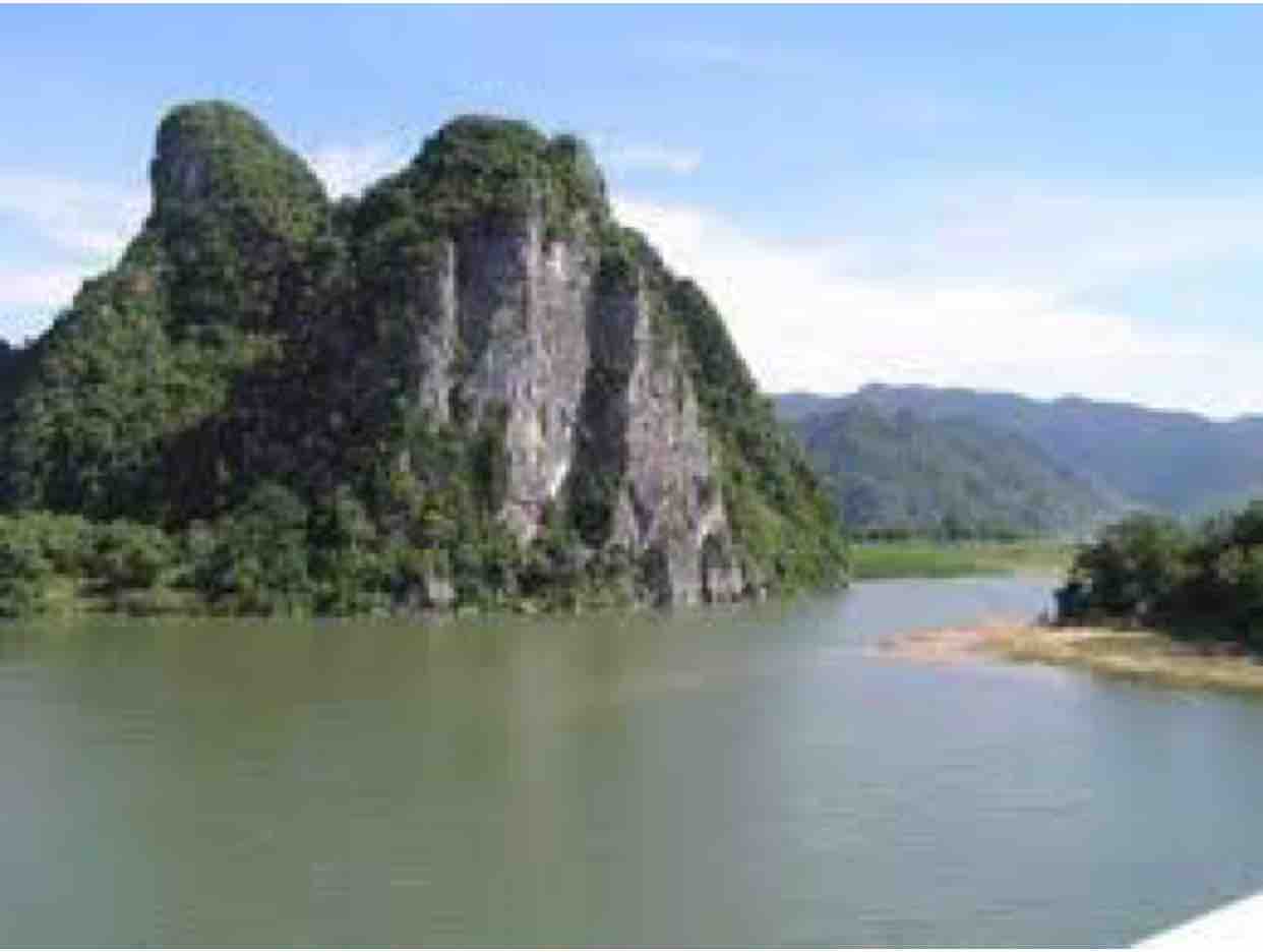 Hoa Trắng Xóm Đạo