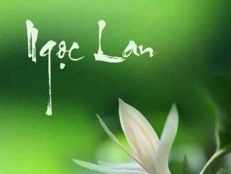 Karaoke Sau Lần Hẹn Cuối Song Ca Nhạc Sống Âm Thanh Chuẩn | Trọng Hiếu