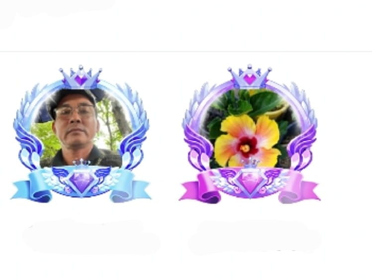 Diễm Xưa Song Lê