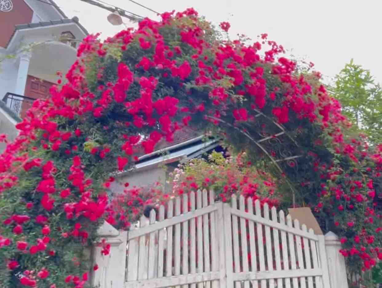 Xa Người Mình Yêu - Lê Hoàng ft Đan Anh