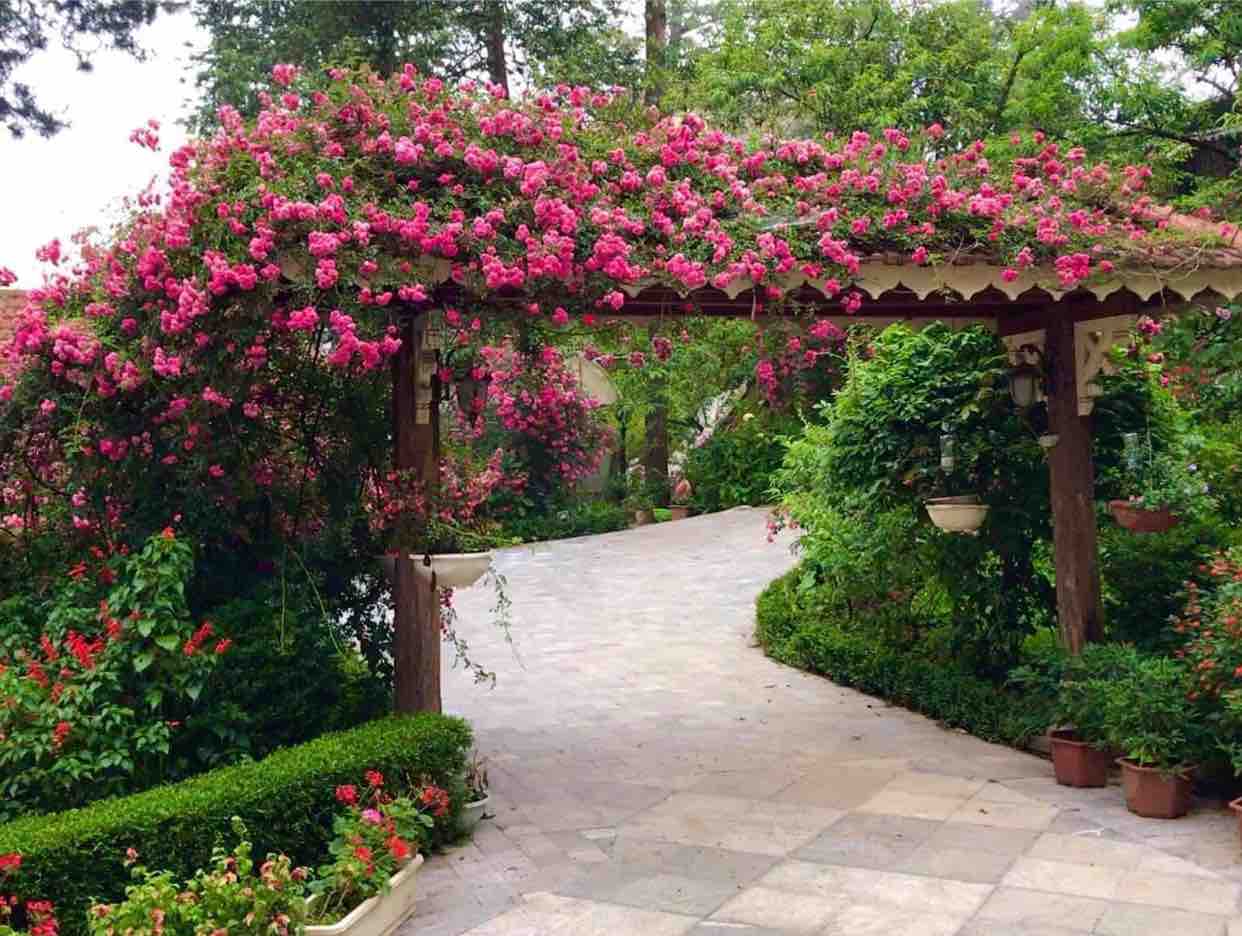 11/6/22 Bài Tình Ca Cho Em - Sc HN@ & ĐA