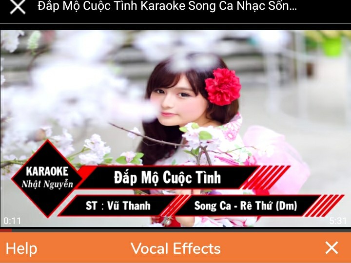 Đắp Mộ Cuộc Tình (Song Ca)