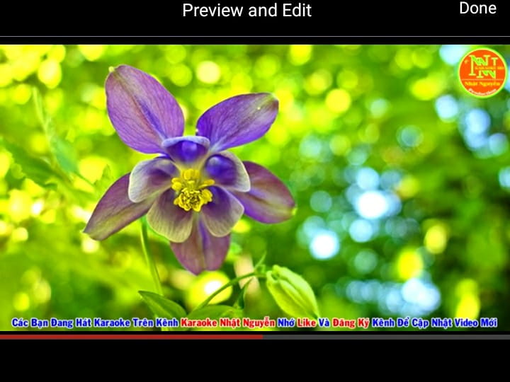 Qua Cơn Mê (Song Ca)