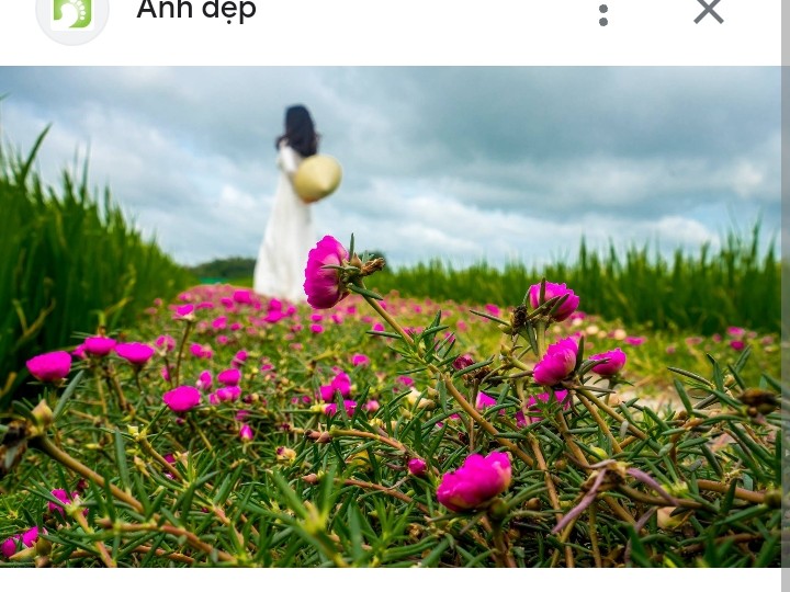 Karaoke Chuyện Tình Hoa Mười Giờ Song Ca | Thái Tài
