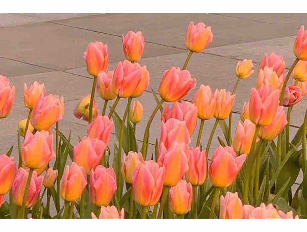 081222 Hãy Quên Anh 