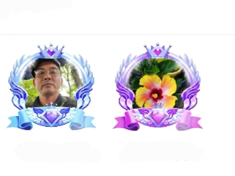 Bài Thánh Ca Buồn..HNL  and HTL