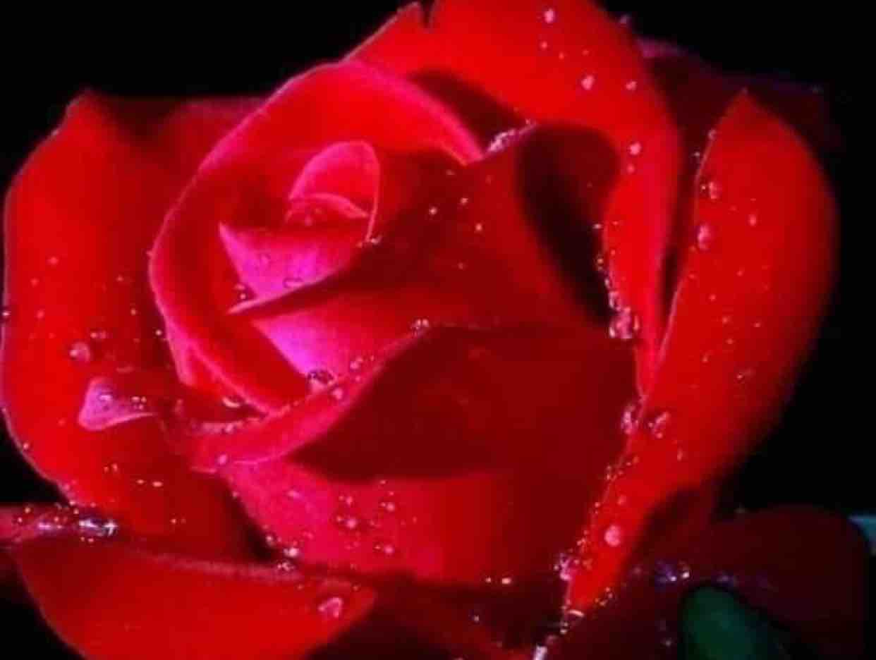 19022023 THUỞ ẤY CÓ ANH