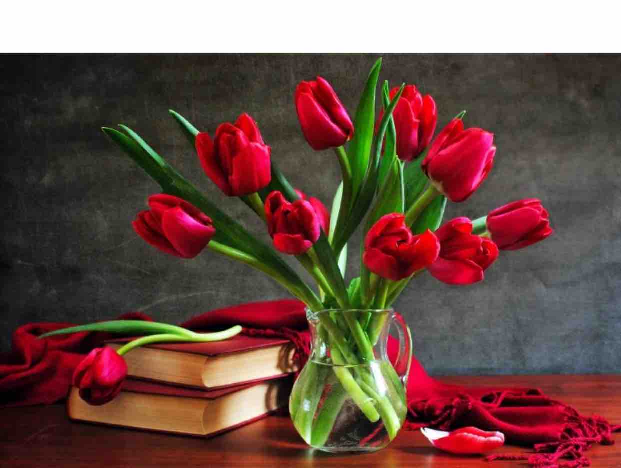 07032023 VÌ ANH THƯƠNG EM - HN@