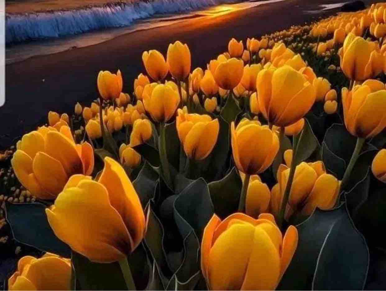 100423 Xin Em Đừng Khóc Vu Quy