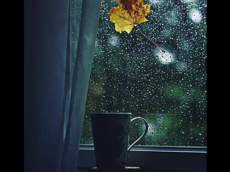 TRỜI CÒN LÀM MƯA MÃI (LV: Nhật Ngân)